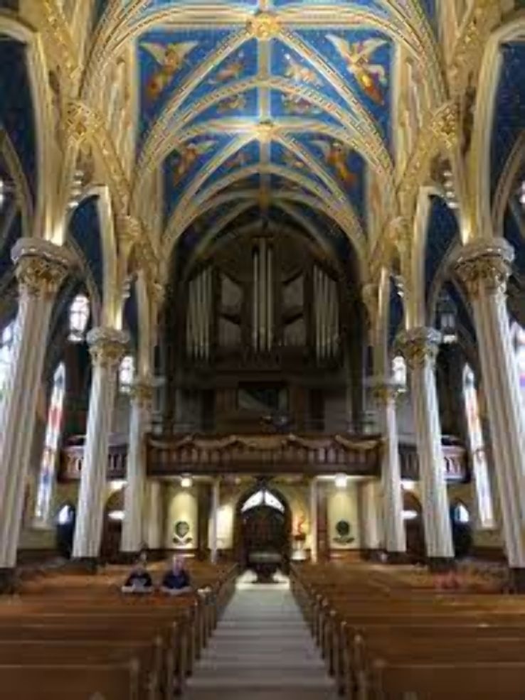 Wonder at the Cathedral Basilica of the Sacred Heart  Trip Packages